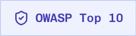 Security page navigation showing the OWASP Top 10 view